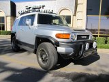 2008 Titanium Metallic Toyota FJ Cruiser  #39258871