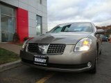 2005 Spirited Bronze Pearl Nissan Maxima 3.5 SE #39325945