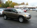 2010 Pyrite Metallic Toyota RAV4 I4 4WD #39325780