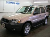 2007 Dune Pearl Metallic Ford Escape XLT V6 4WD #39326302