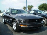 2009 Alloy Metallic Ford Mustang V6 Coupe #392549