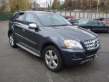Steel Grey Metallic Mercedes-Benz ML in 2010