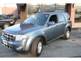 2010 Steel Blue Metallic Ford Escape Limited V6 4WD #39430764