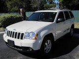 2010 Stone White Jeep Grand Cherokee Laredo 4x4 #39502653