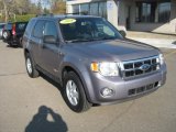 2008 Ford Escape XLT V6