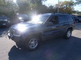 2003 Patriot Blue Pearl Jeep Grand Cherokee Laredo #39503106