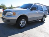 2003 Silver Birch Metallic Ford Expedition XLT #39503445