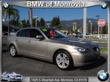 2010 BMW 5 Series 528i Sedan