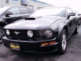 2008 Black Ford Mustang GT Premium Coupe #39597755
