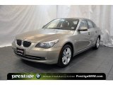 2010 Platinum Bronze Metallic BMW 5 Series 528i xDrive Sedan #39666516