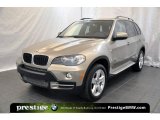 2010 BMW X5 xDrive30i