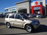 2005 Suzuki Grand Vitara Cool Beige Metallic