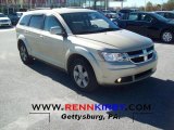 2010 Dodge Journey SXT