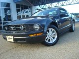 2007 Alloy Metallic Ford Mustang V6 Deluxe Coupe #39666688