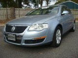 2006 Arctic Blue Silver Volkswagen Passat 2.0T Sedan #39739116