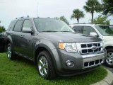 2009 Sterling Grey Metallic Ford Escape Limited #392552