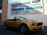 2010 Sunset Gold Metallic Ford Mustang V6 Premium Convertible #39741115