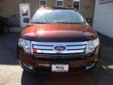 2009 Ford Edge SEL AWD Exterior