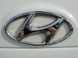 2007 Hyundai Santa Fe Limited Marks and Logos