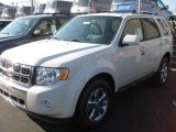 2011 White Suede Ford Escape Limited 4WD #39739587