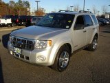 2008 Ford Escape XLT 4WD