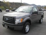 2010 Ford F150 XL Regular Cab 4x4 Data, Info and Specs