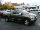 2007 Pyrite Mica Toyota Tundra Limited Double Cab 4x4 #40004464