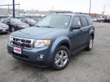 2011 Steel Blue Metallic Ford Escape XLT V6 4WD #40003977