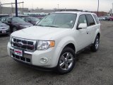 White Suede Ford Escape in 2011