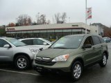 2008 Green Tea Metallic Honda CR-V EX 4WD #40004514