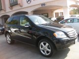 2008 Mercedes-Benz ML 350 4Matic