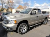 2004 Light Almond Pearl Dodge Ram 1500 ST Quad Cab 4x4 #40064506