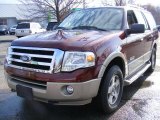 2008 Ford Expedition Eddie Bauer 4x4 Front 3/4 View