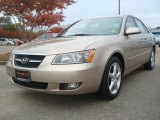 2008 Golden Beige Hyundai Sonata Limited #40063751