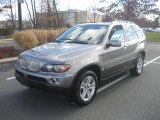 2004 Sterling Grey Metallic BMW X5 4.4i #40064389