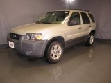 2005 Titanium Green Metallic Ford Escape XLT V6 4WD #40134109