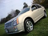 2007 Cadillac SRX 4 V6 AWD