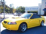 2004 Screaming Yellow Ford Mustang GT Convertible #40218631