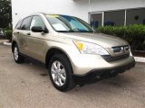 2007 Borrego Beige Metallic Honda CR-V EX #40218410