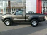 Pyrite Brown Mica Toyota Tacoma in 2009