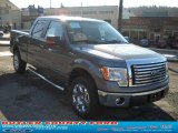 2010 Ford F150 XLT SuperCrew 4x4