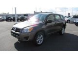 2009 Pyrite Mica Toyota RAV4 4WD #40302593