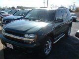 2005 Emerald Jewel Green Metallic Chevrolet TrailBlazer LS #40302630