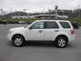 2011 White Suede Ford Escape XLT V6 4WD #40343371