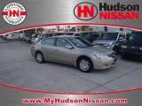 2010 Sonoran Sand Nissan Altima 2.5 S #40352749