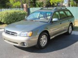 2002 Wintergreen Metallic Subaru Outback Wagon #40353149