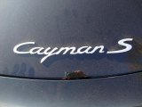 Porsche Cayman 2010 Badges and Logos