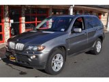 2004 Sterling Grey Metallic BMW X5 4.4i #40353709