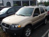 2007 Dune Pearl Metallic Ford Escape XLT V6 4WD #40410432
