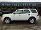 2010 White Suede Ford Escape XLT 4WD #40410462